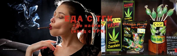 гашик Пестово