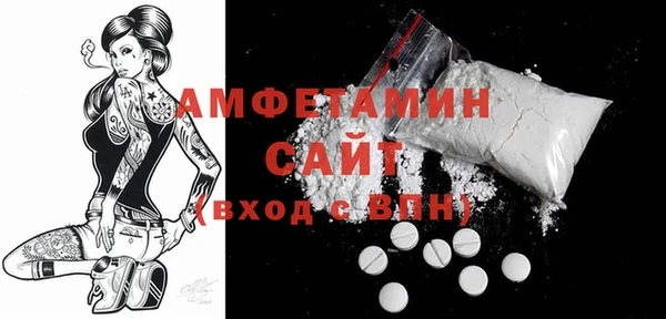 гашик Пестово