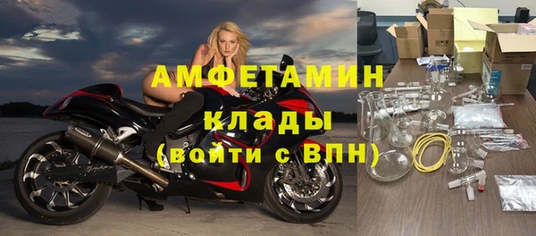 гашик Пестово