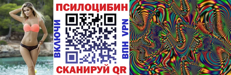 Псилоцибиновые грибы Psilocybe  где найти   Рославль 